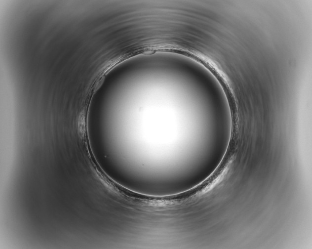X0000096410897200801241218