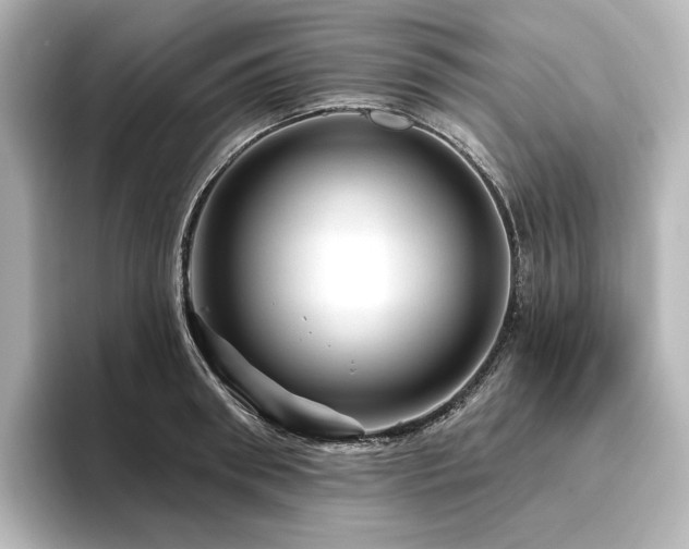 X0000096410898200801241218