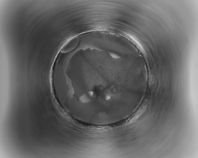 X0000096410899200801241218