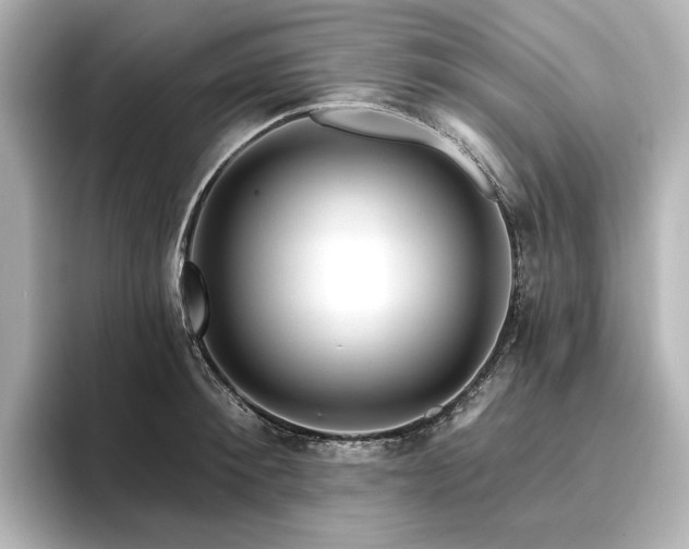 X0000096410900200801241218
