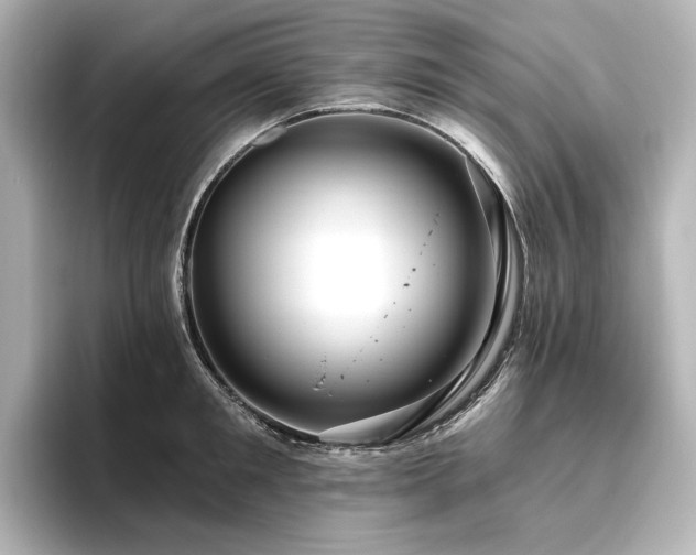 X0000096410901200801241218