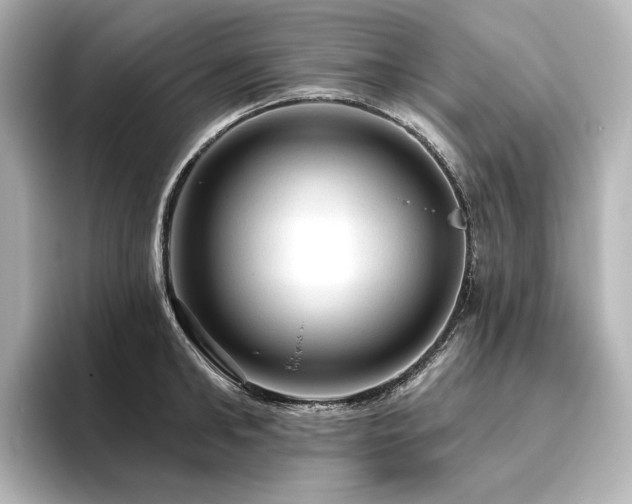 X0000096410902200801241218