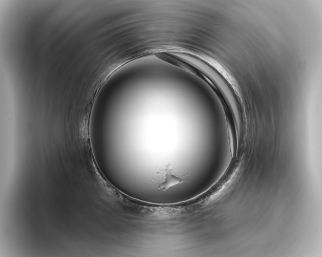 X0000096410905200801241218