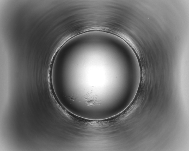 X0000096410906200801241218