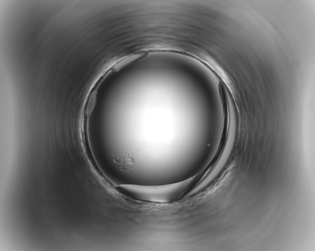 X0000096410909200801241218
