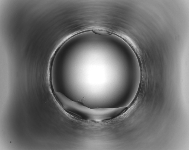 X0000096410910200801241218