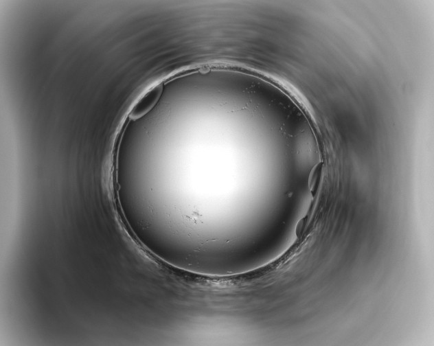 X0000096410911200801241218