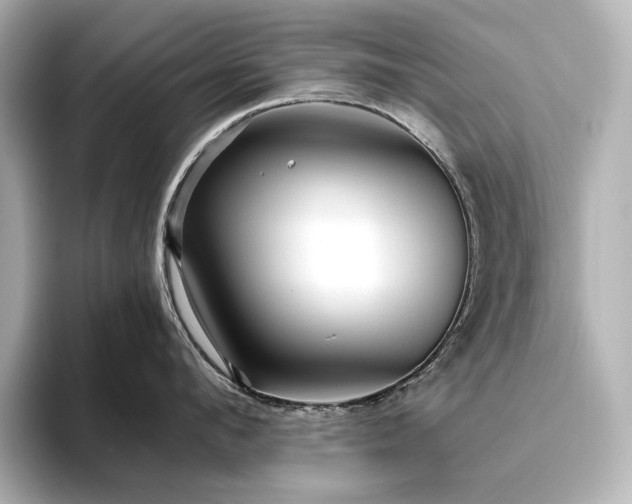 X0000096410912200801241218