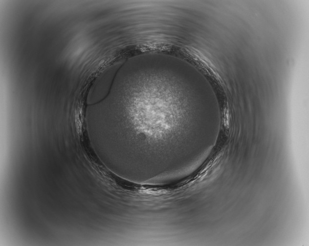 X0000096410915200801241217