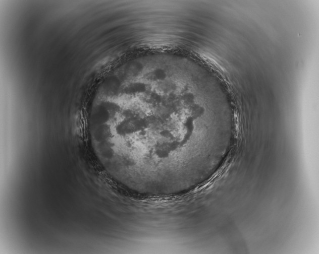 X0000096410917200801241217