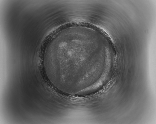 X0000096410919200801241217