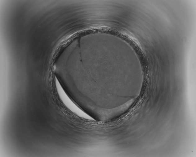 X0000096410920200801241217
