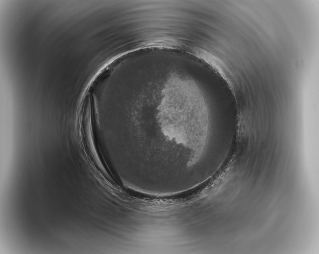 X0000096410923200801241218