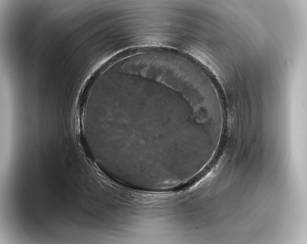 X0000096410925200801241218