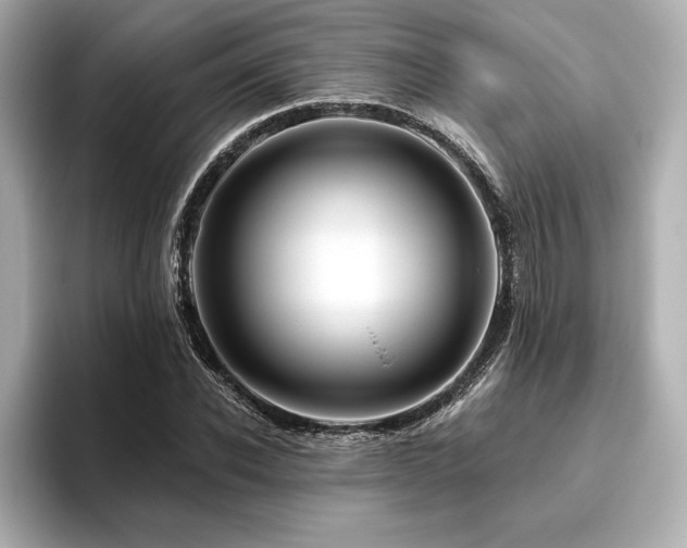 X0000096410926200801241218