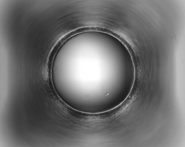 X0000096410927200801241218