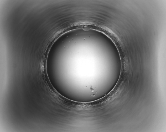 X0000096410929200801241218