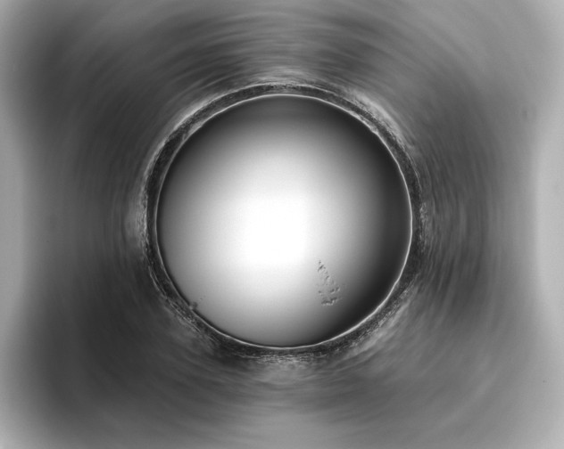 X0000096410931200801241218