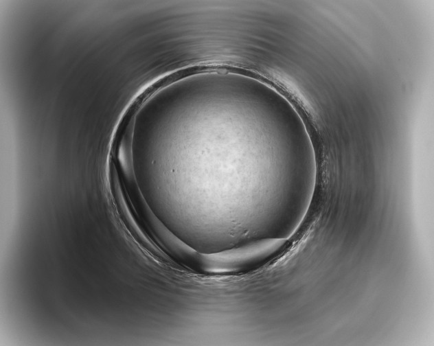 X0000096410932200801241218