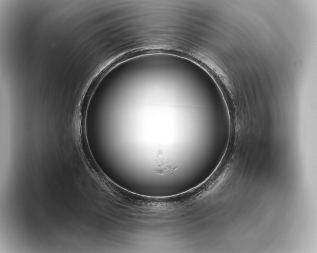 X0000096410933200801241218