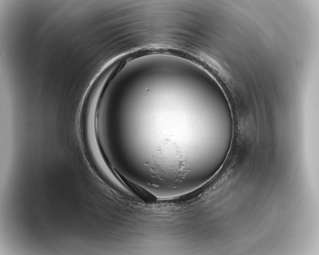 X0000096410934200801241218