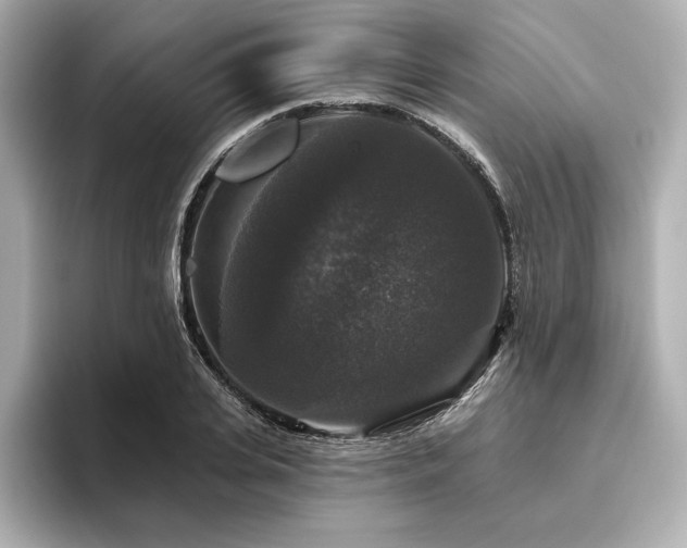 X0000096410935200801241218