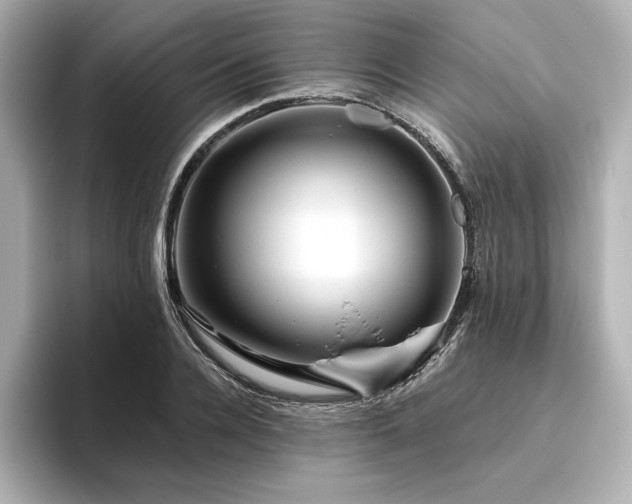 X0000096410936200801241218