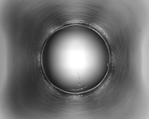 X0000096410937200801241218