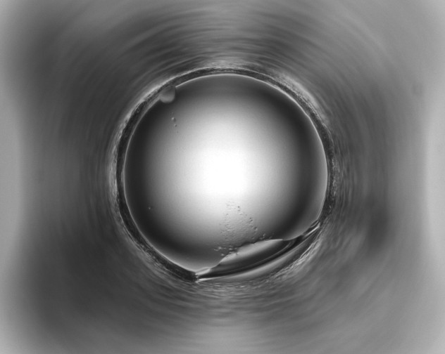 X0000096410939200801241218