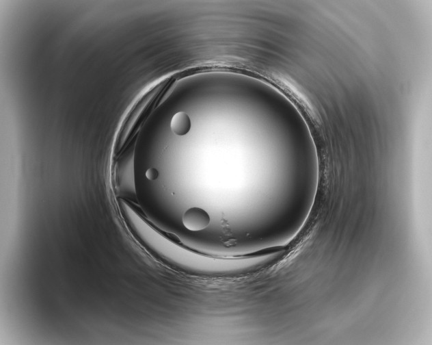 X0000096410940200801241218