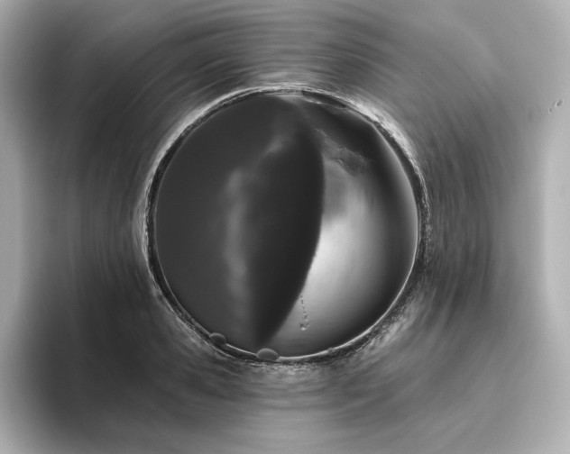 X0000096410941200801241218