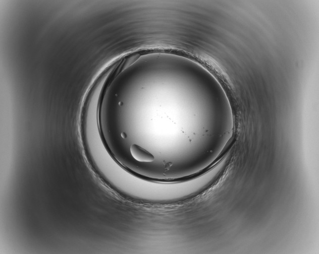 X0000096410942200801241218