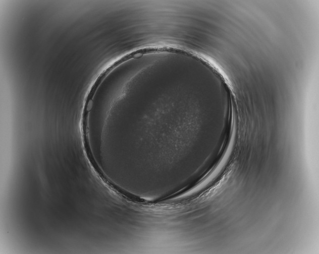 X0000096410943200801241218