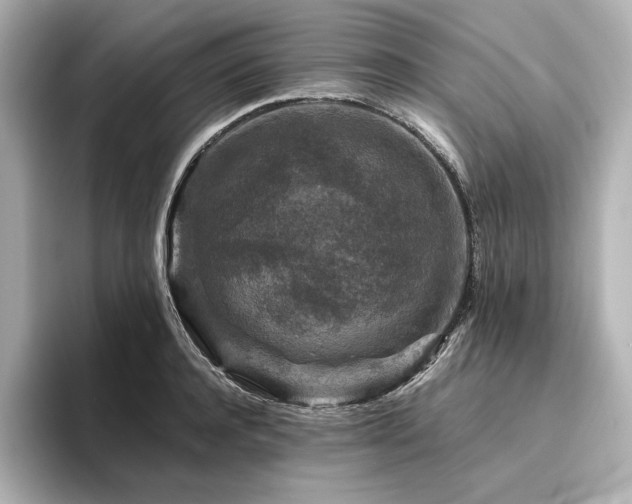 X0000096410944200801241218