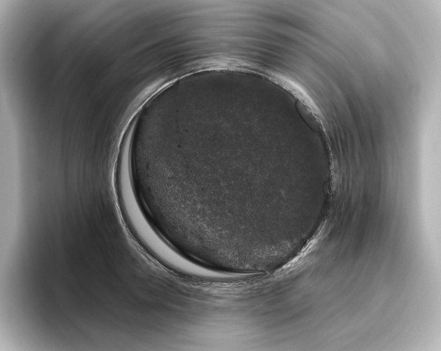 X0000096410946200801241218