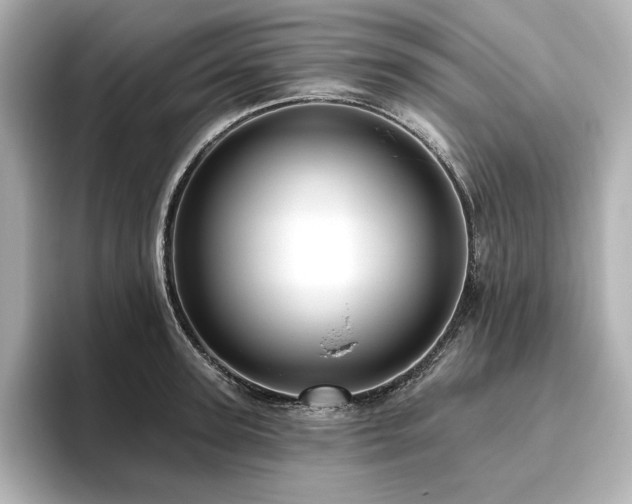 X0000096410947200801241218