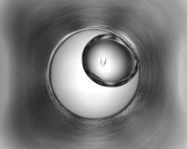 X0000096410948200801241218