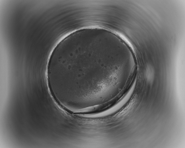 X0000096410951200801241218