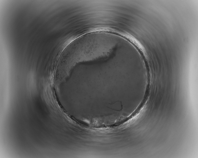 X0000096410953200801241218