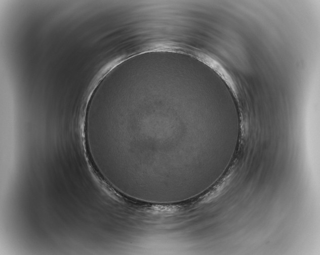 X0000096410954200801241218