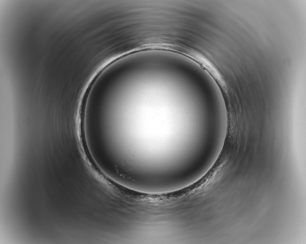X0000096410955200801241218