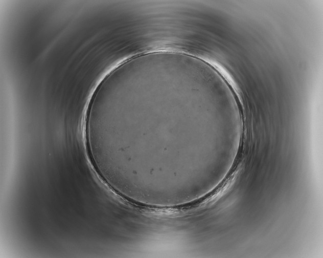 X0000096410957200801241218