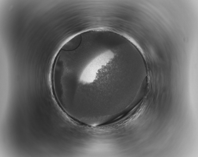 X0000096410959200801241218