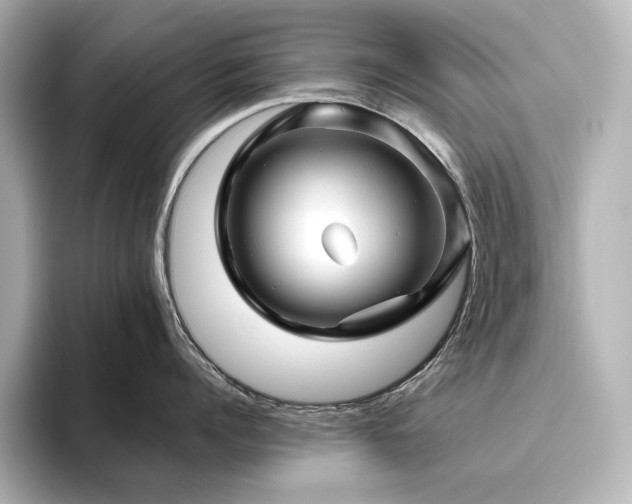 X0000096410960200801241218