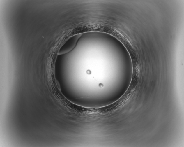 X0000096410961200801241217