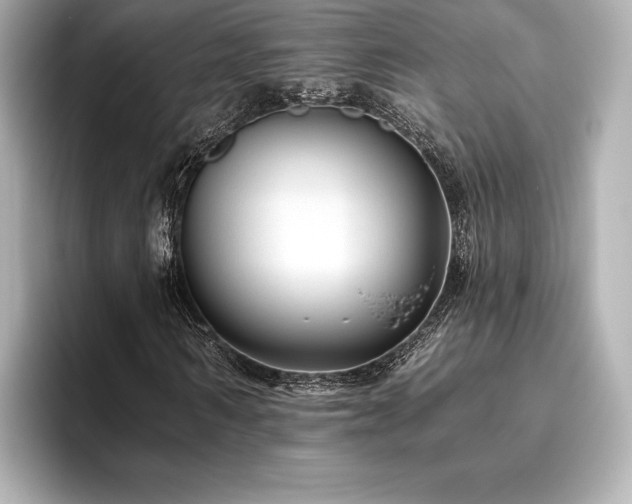 X0000096410962200801241217