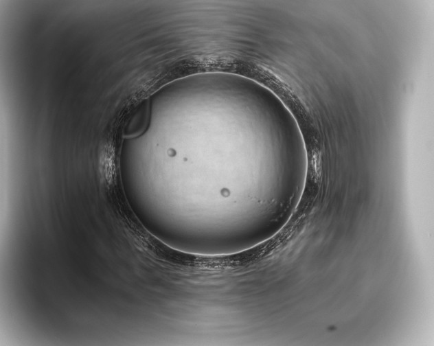 X0000096410963200801241217