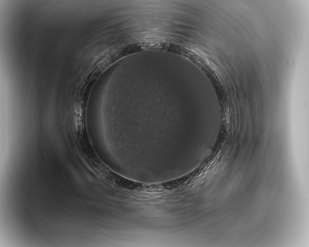 X0000096410964200801241217