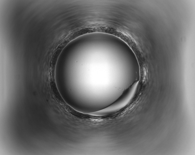 X0000096410965200801241217