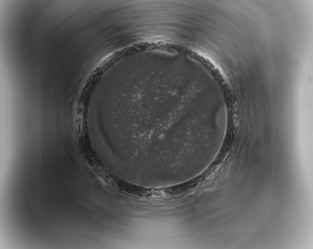 X0000096410968200801241217